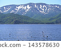 A flock of slender-billed shearwaters soars over the sea in the Nemuro Strait off the coast of the Shiretoko Peninsula in Hokkaido, with the Shiretoko mountain range in the background. 143578630