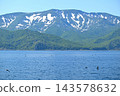 A flock of slender-billed shearwaters soars over the sea in the Nemuro Strait off the coast of the Shiretoko Peninsula in Hokkaido, with the Shiretoko mountain range in the background. 143578632