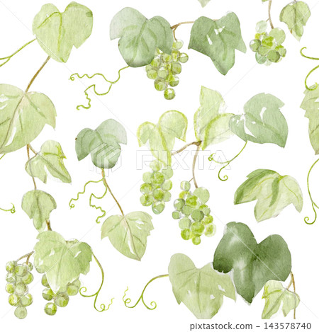 Seamless watercolor pattern with green grapes, grapevine leaves, curly tendrils on white. Hand painted botanical design perfect for fabric, wallpaper, wrapping paper, packaging, stationery. Monochrome Seamless watercolor pattern with green grapes, grapevine leaves, curly tendrils on white. Hand painted botanical design perfect for fabric, wallpaper, wrapping paper, packaging, stationery. Monochrome 143578740
