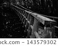 一條破敗不堪的木製步道，呈現出單色調的風景。 143579302