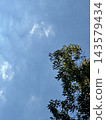從低角度拍攝的清爽秋日天空和樹木。 143579434