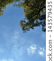 以藍天綠葉為背景的畫框，留有臨摹空間。 143579435