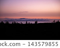 Pine trees stand black against a rose coloured dusk. Canary pines stand black against a rose coloured dusk over the cloud sea in Teide National Park. Quiet endings for travel wellbeing and reflection  143579855