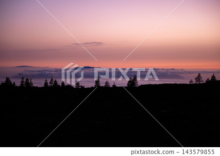 Pine trees stand black against a rose coloured dusk. Canary pines stand black against a rose coloured dusk over the cloud sea in Teide National Park. Quiet endings for travel wellbeing and reflection Pine trees stand black against a rose coloured dusk. Canary pines stand black against a rose coloured dusk over the cloud sea in Teide National Park. Quiet endings for travel wellbeing and reflection 143579855