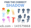 Children play with cartoon jellyfish. Different colorful jellyfish and shadows. Educational development game template, for toddlers and preschool kids, vector design 143579868