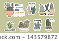 Plants cactus stickers. Blooming plant, succulents in pots and motivational joy text. Decorative home garden elements, decor for diary, notebook, cards, vector set 143579872