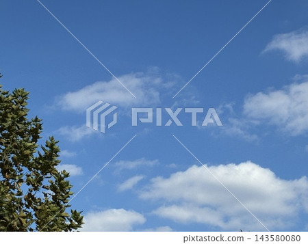 秋高氣爽,碧空如洗,白雲朵朵,綠樹在陽光的襯托下格外醒目。 秋高氣爽,碧空如洗,白雲朵朵,綠樹在陽光的襯托下格外醒目。 143580080