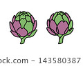 Two artichokes illustration in vector line art drawing style 143580387