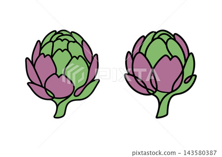 Two artichokes illustration in vector line art drawing style Two artichokes illustration in vector line art drawing style 143580387