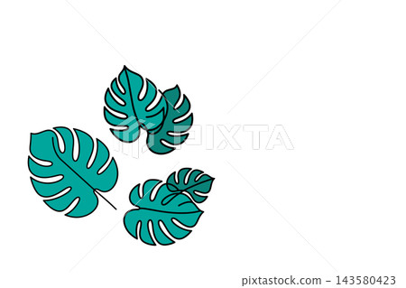 Monstera leaves illustration in vector outline drawing style Monstera leaves illustration in vector outline drawing style 143580423