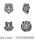 Set of tigers illustration in vector line art drawing style 143580490