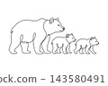 Bears illustration in vector line art drawing style 143580491