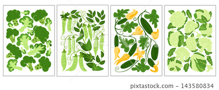 Four botanical vegetable poster illustrations featuring green leaves, vines, peas, squash, and lettuce arranged as decorative flat compositions Four botanical vegetable poster illustrations featuring green leaves, vines, peas, squash, and lettuce arranged as decorative flat compositions 143580834