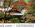 Autumn at Nanzen-in Temple: Hojo Garden and Sogenchi Pond (Sakyo-ku, Kyoto City) 143582002