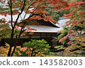 Autumn at Nanzen-in Temple: Hojo Garden and Sogenchi Pond (Sakyo-ku, Kyoto City) 143582003