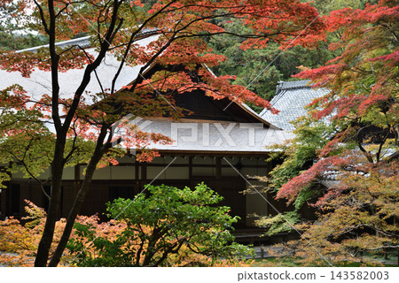 Autumn at Nanzen-in Temple: Hojo Garden and Sogenchi Pond (Sakyo-ku, Kyoto City) Autumn at Nanzen-in Temple: Hojo Garden and Sogenchi Pond (Sakyo-ku, Kyoto City) 143582003