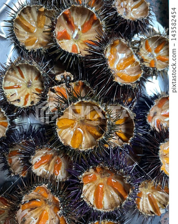 Fresh sea urchins cut open and ready to eat as a seafood delicacy Fresh sea urchins cut open and ready to eat as a seafood delicacy 143582454
