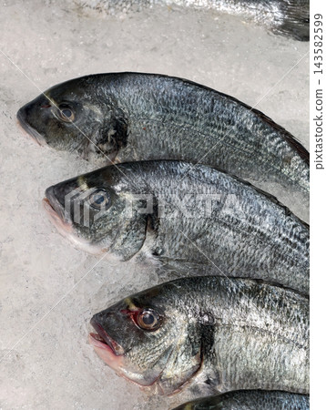 Chilled cleaned and gutted dorado displayed on fresh ice at a supermarket seafood counter, showcasing prepared fish presented for customer viewing and selection 143582599