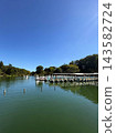 有池塘的公園 143582724