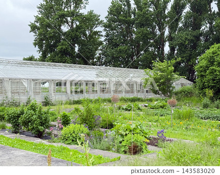 Botanical garden greenhouse surrounded by vegetable and flower growing areas Botanical garden greenhouse surrounded by vegetable and flower growing areas 143583020