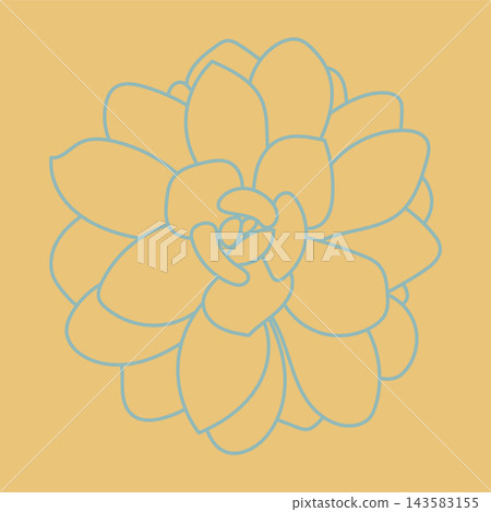 Desert flower for prints and designs. Cute pattern. Doodle Succulent Flower. Desert flower for prints and designs. Cute pattern. Doodle Succulent Flower. 143583155