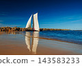 A sailboat with white sails in the beach of the Baltic sea 143583233