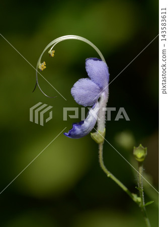 蕕 蕕 143583611