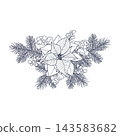 Vector illustration of a New Year's composition featuring a poinsettia flower, spruce sprigs, and snowberries. A line drawing suitable for greeting cards, packaging, and printed materials. 143583682