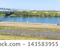 Around Katsushika Bridge, Matsudo City, Chiba Prefecture, October 2026 143583955