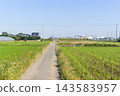 Chiba Prefecture, Matsudo City, Shusui Shinden area, October 2026 143583957