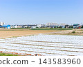 Chiba Prefecture, Matsudo City, Shusui Shinden area, October 2026 143583960