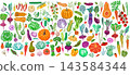 Set of fresh organic vegetables and root crops 143584344
