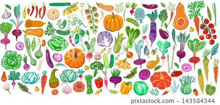 Set of fresh organic vegetables and root crops Set of fresh organic vegetables and root crops 143584344
