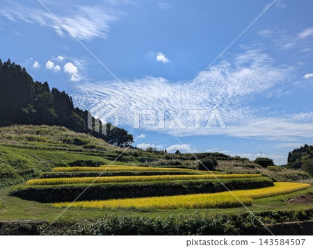 在晴朗的秋日天空和卷雲的背景下,熊本縣小國町美麗的梯田景色(風景照)。 在晴朗的秋日天空和卷雲的背景下,熊本縣小國町美麗的梯田景色(風景照)。 143584507