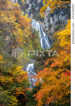Autumn leaves of Tianjin Autumn leaves of Tianjin 143584897