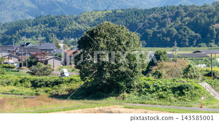 一輛火車行駛在原日本國鐵倉吉線上的鄉村景色中。 143585001