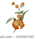Hand Painted Watercolor Cozy Autumn Library with Vintage Orange Marigold Flower Dark Academia Clipart PNG 143585165