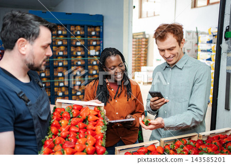 Diverse team checking strawberry quality at food warehouse Diverse team checking strawberry quality at food warehouse 143585201