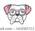 Cute hand-drawn illustration of a cool bulldog wearing glasses. Charming minimalist hipster dog portrait  143585711