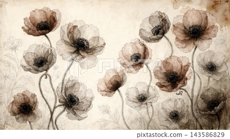 A luminous botanical fine art illustration of delicate anemone flowers A luminous botanical fine art illustration of delicate anemone flowers 143586829