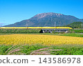 Doctor Yellow running under the blue sky at the foot of Mt. Ibuki, where rice is ripening 143586978