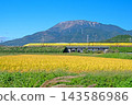 Doctor Yellow running under the blue sky at the foot of Mt. Ibuki, where rice is ripening 143586986