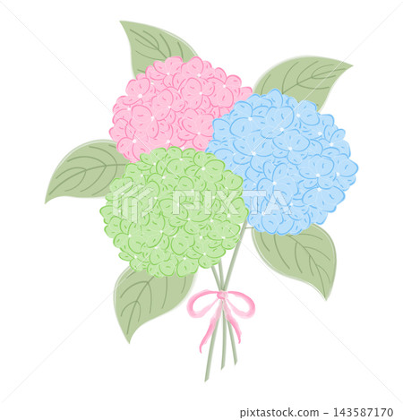Pastel pink blue and green hydrangea bouquet with leaves and ribbon bow in watercolor style Clipart. Hand drawn watercolor style vector for wedding invitations, greeting cards and floral stationery. Pastel pink blue and green hydrangea bouquet with leaves and ribbon bow in watercolor style Clipart. Hand drawn watercolor style vector for wedding invitations, greeting cards and floral stationery. 143587170