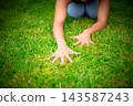 Hands connecting with green grass outdoors feeling nature 143587243