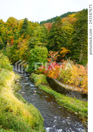 中野紅葉山紅葉 中野紅葉山紅葉 143587675