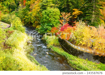 中野紅葉山紅葉 143587676