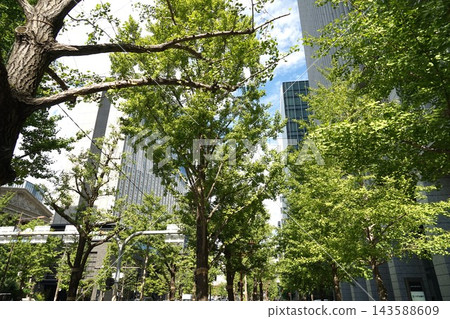 禦堂筋的風景 禦堂筋的風景 143588609