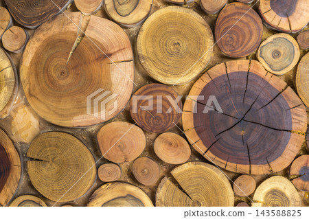 Round wooden unpainted solid natural ecological soft colored brown and yellow stumps background, Tree cut sections different sizes for pad mat background texture. Do It Yourself art concept. Round wooden unpainted solid natural ecological soft colored brown and yellow stumps background, Tree cut sections different sizes for pad mat background texture. Do It Yourself art concept. 143588825