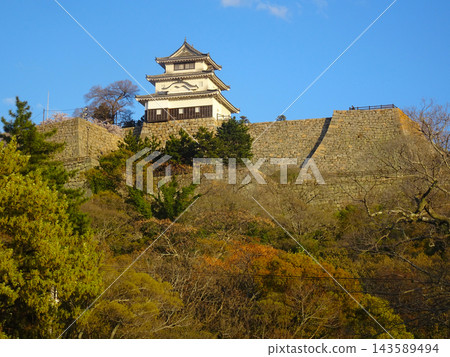 丸龜城擁有日本最高的石牆,城內還保留著一座古老的天守閣,景色優美(香川縣丸龜市)。 丸龜城擁有日本最高的石牆,城內還保留著一座古老的天守閣,景色優美(香川縣丸龜市)。 143589494