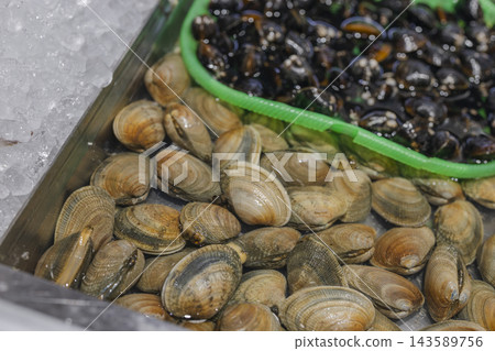 魚市上用魚缸出售的新鮮蛤蜊和其他貝類。 魚市上用魚缸出售的新鮮蛤蜊和其他貝類。 143589756